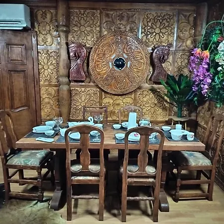 Villa Viking House