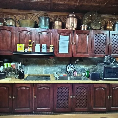 Villa Viking House