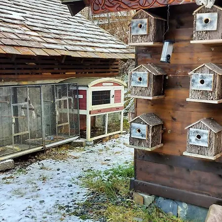 Viking House *