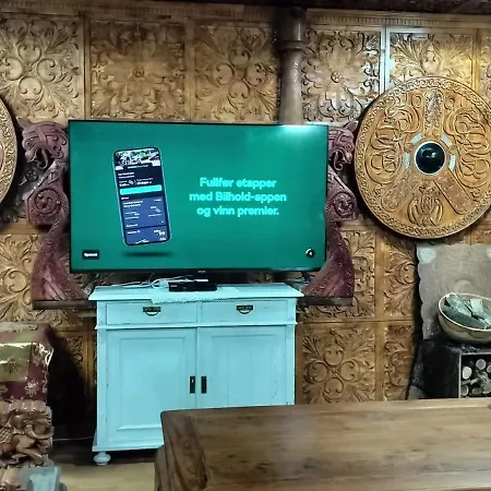Viking House *