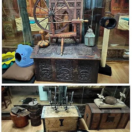 Viking House