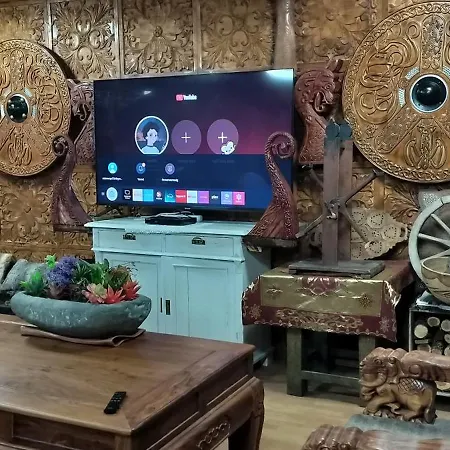 וילה Viking House *